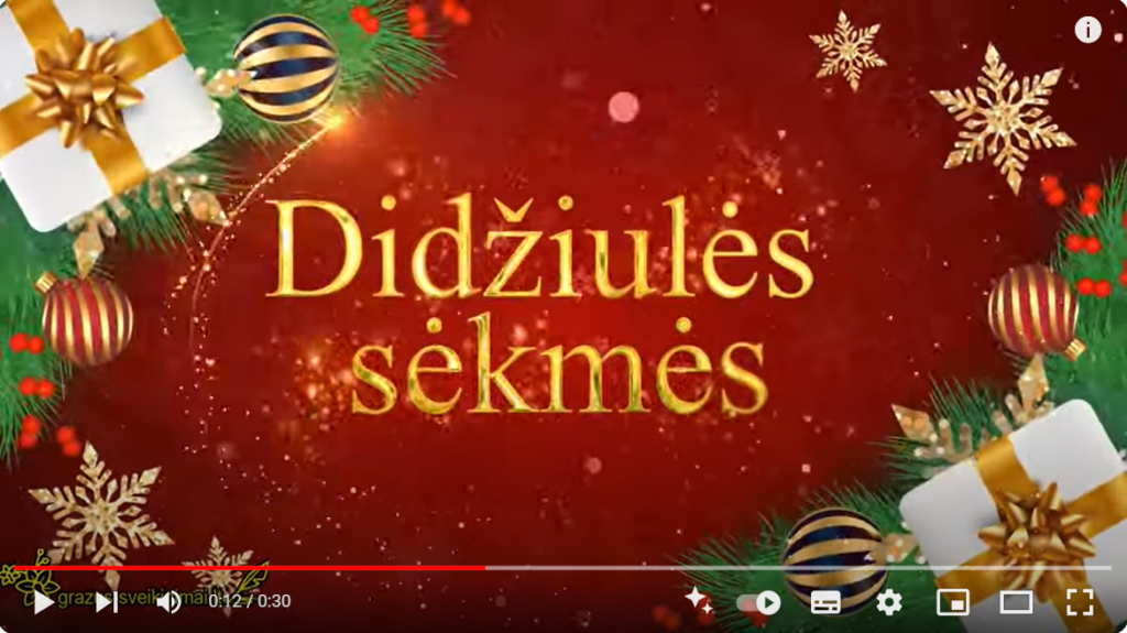 Naujametinis Video Sveikinimas